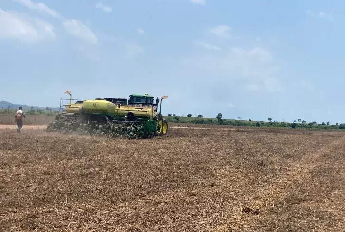 Soja no Tocantins: Fazenda de cooperado da Castrolanda atinge 76 sacas por hectare na safra 2025/26