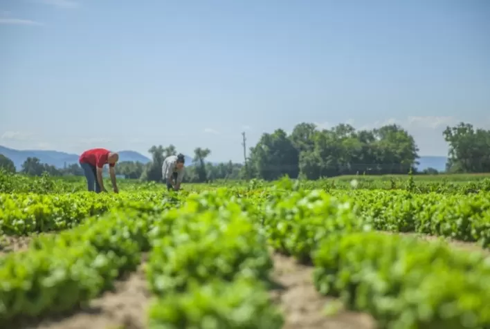 Rio Grande do Sul sedia 1º Simpósio de Insumos Agrícolas de Base Orgânica e destaca avanço da economia circular no agro