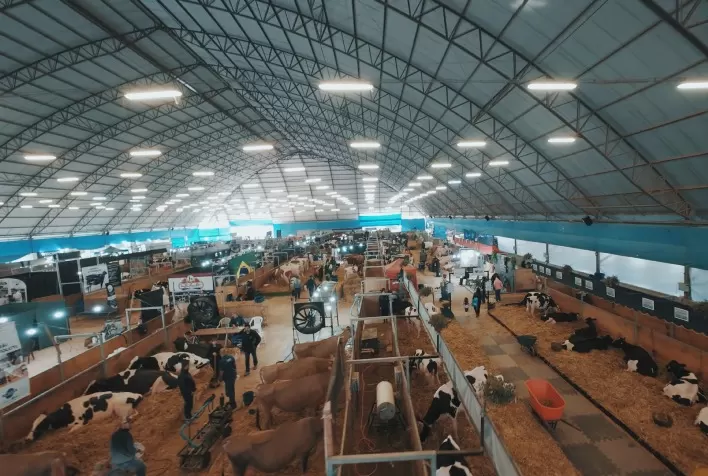 Agroleite 2026 abre inscrições para animais das raças Holandesa e Jersey em Castro (PR)