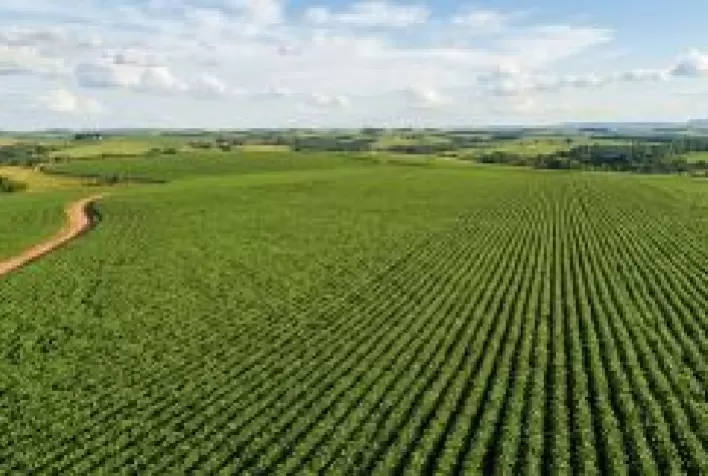 Monitoramento via satélite passa a ser exigência para exportações do agronegócio brasileiro