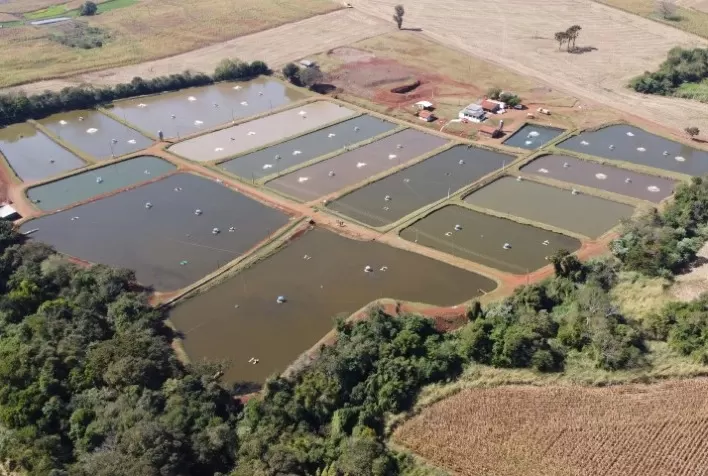Piscicultura em viveiros escavados cresce no Brasil com tecnologia de manejo e fortalece produção familiar