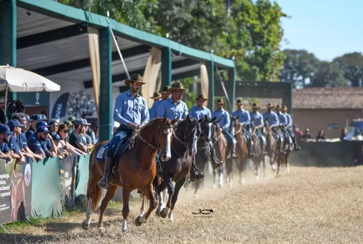 Exposição Nacional do Cavalo Mangalarga 2026 reúne criadores, provas e negócios em Tatuí (SP)
