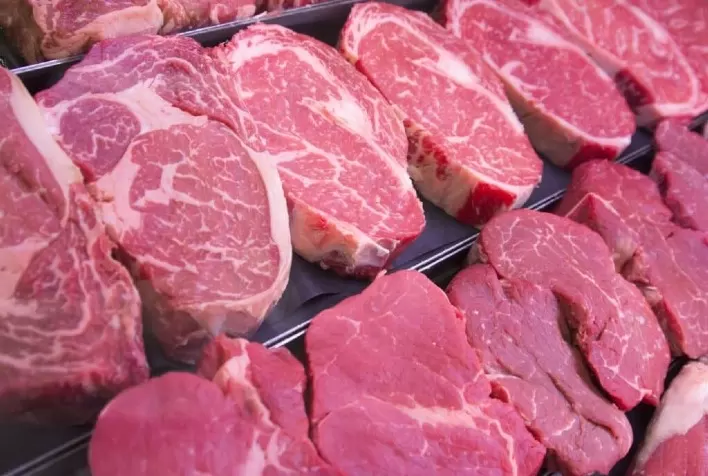 Exportações de carne bovina do Brasil crescem 32,8% na receita diária em junho de 2026 com alta de preços e embarques