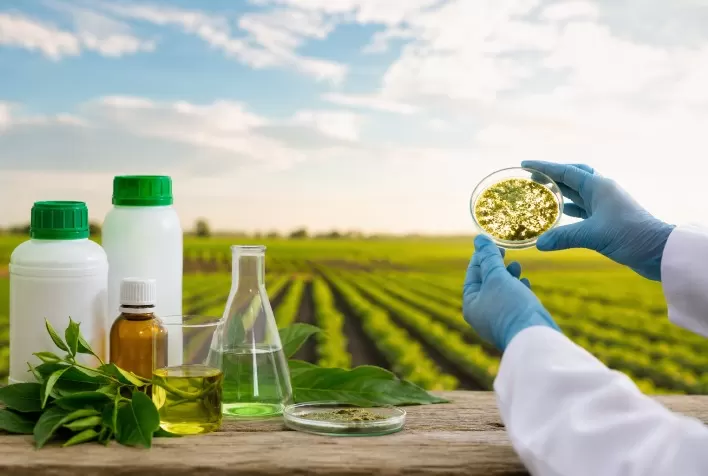 Produtos biológicos: veja os cuidados essenciais para acertar na escolha e garantir resultados no campo