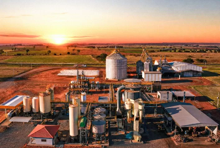 Better Beef transforma 40 mil toneladas de resíduos em nutrição animal e avança na produção sustentável de carne premium