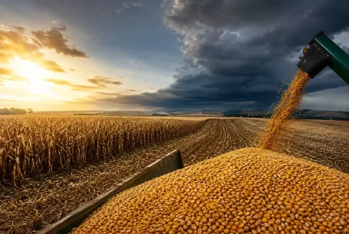 IGC eleva projeção da safra mundial de milho 2026/27 para 1,31 bilhão de toneladas e alerta para riscos do El Niño