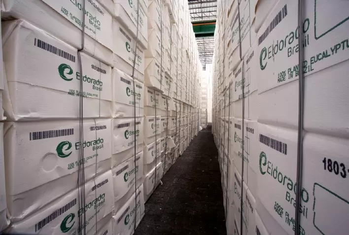 Mercado global de celulose deve reagir no fim de 2026 com queda dos estoques e cortes de produção, aponta Rabobank