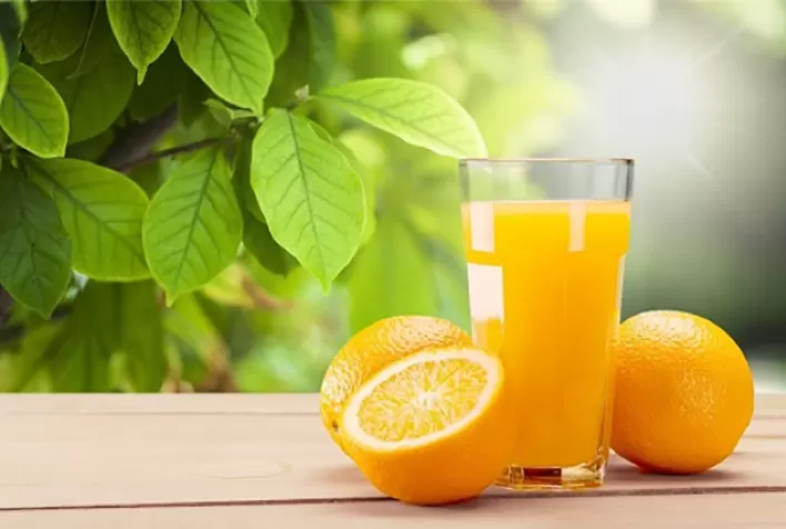 Suco de laranja enfrenta pressão de preços mesmo com safra menor em 2026/27, aponta Rabobank