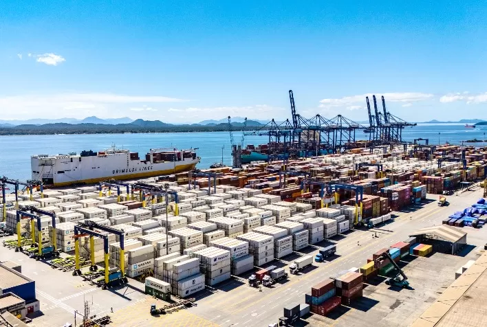 Porto de Paranaguá amplia exportação de frango com energia renovável e investimentos bilionários em infraestrutura