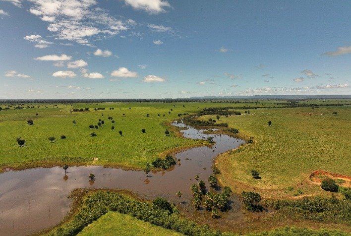 Agricultura regenerativa ganha força no Cerrado com parceria entre AGCO Agriculture Foundation e The Nature Conservancy