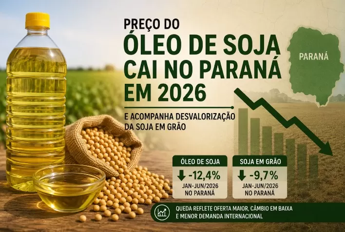 Preço do óleo de soja cai no Paraná em 2026 e acompanha desvalorização da soja em grão