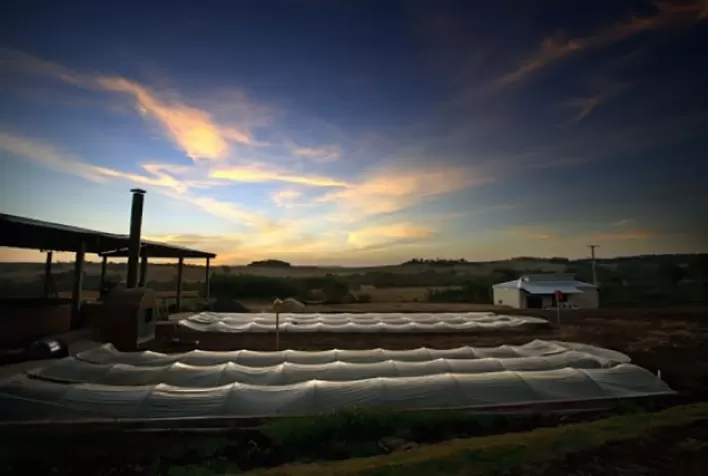 Bahia avança no biometano e pode se tornar novo polo de bioenergia do Nordeste com potencial superior a 2,5 milhões de m³ por dia