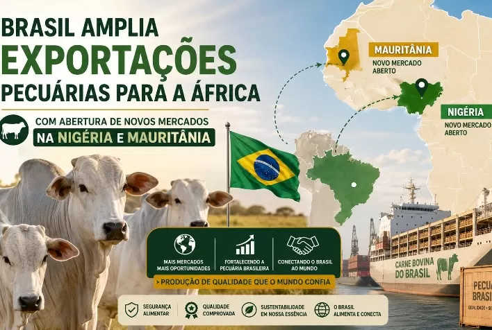 Brasil amplia exportações pecuárias para a África com abertura de novos mercados na Nigéria e Mauritânia