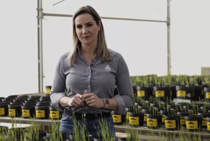 Fertilizantes importados mais caros impulsionam uso de biológicos e manejo nutricional para aumentar eficiência no campo