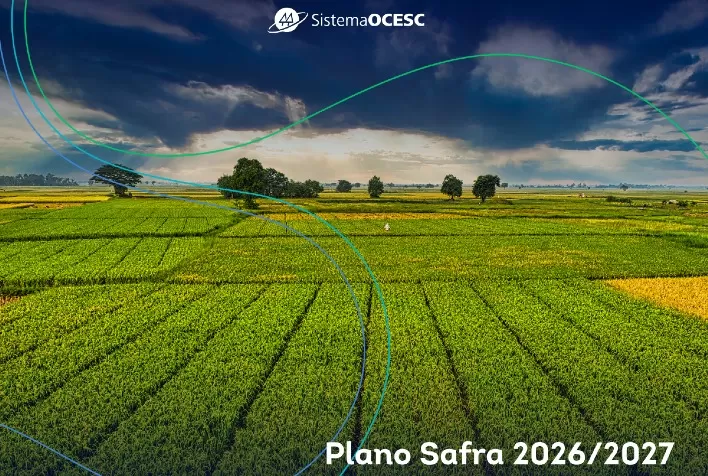 Plano Safra 2026/2027 gera otimismo, mas cooperativismo alerta para redução do crédito e fragilidade do seguro rural