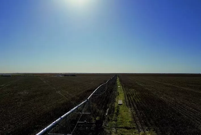 Clima instável acelera investimentos em irrigação e transforma manejo agrícola no Oeste da Bahia