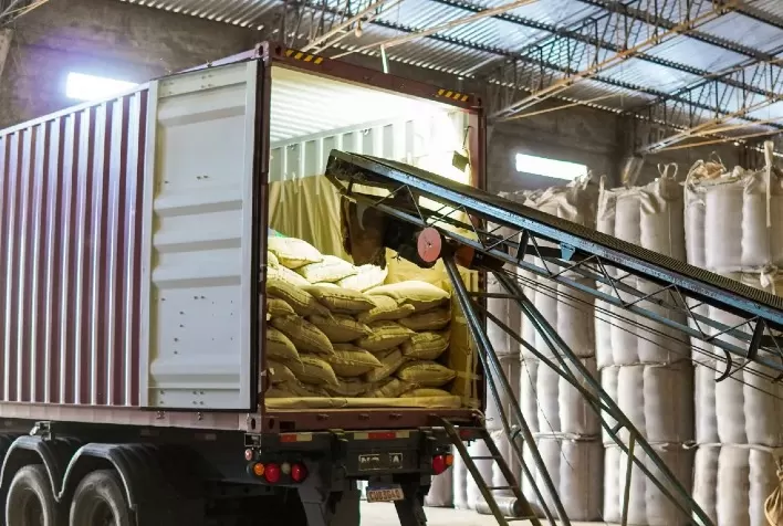 Exportações de café do Brasil caem 15,7% na safra 2025/26, mas embarques reagem em junho com avanço da nova colheita