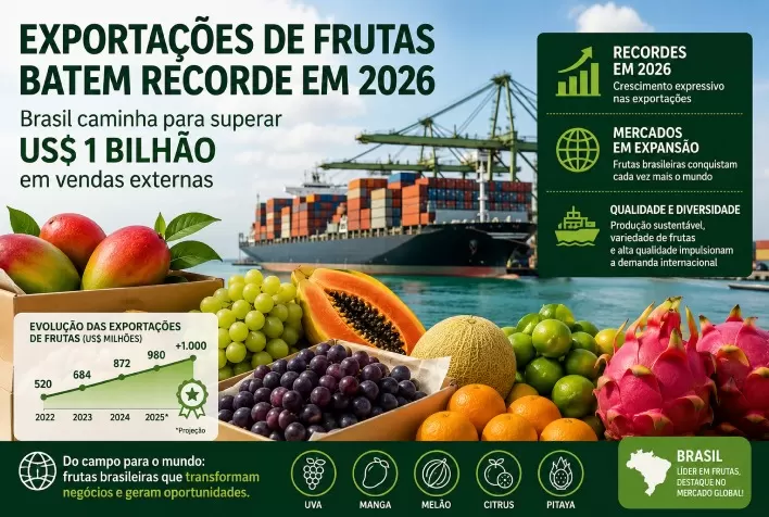 Exportações de frutas batem recorde em 2026 e Brasil caminha para superar US$ 1 bilhão em vendas externas