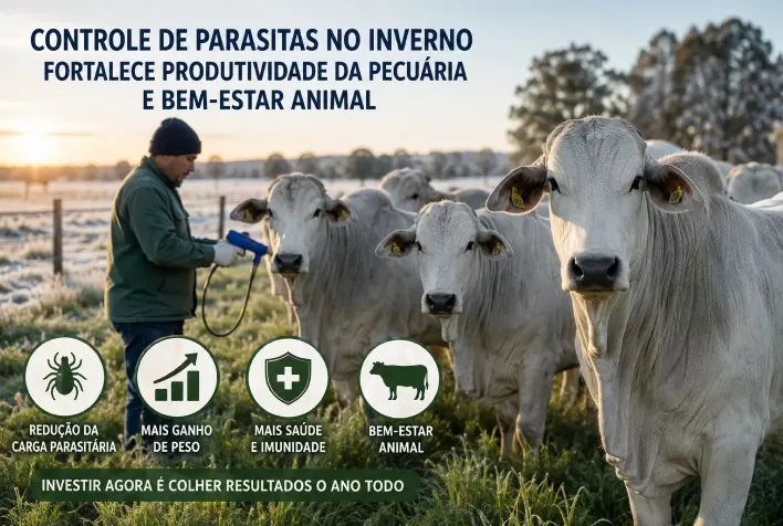 Controle de parasitas no inverno reduz perdas na pecuária e aumenta produtividade dos rebanhos