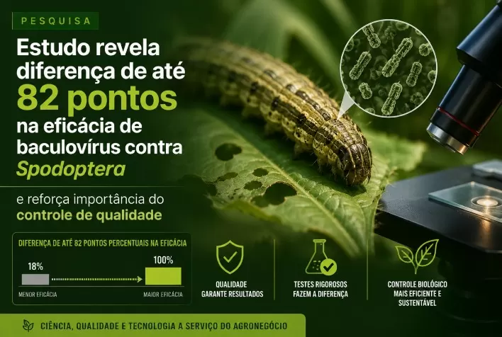 Estudo revela diferença de até 82 pontos na eficácia de baculovírus contra Spodoptera e reforça importância do controle de qualidade