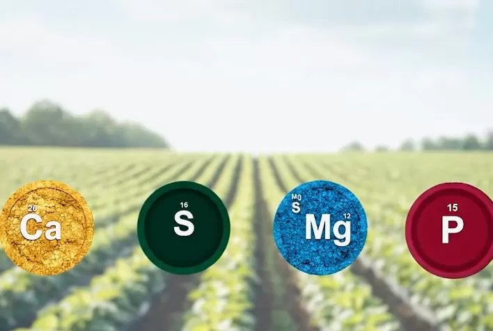 Manejo da fertilidade do solo reduz pela metade tempo de recuperação de pastagens degradadas no Brasil