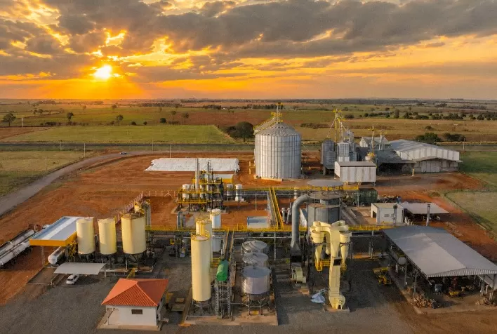 Better Group investe R$ 20 milhões em projeto que transforma batata-doce em etanol, biogás e ração animal