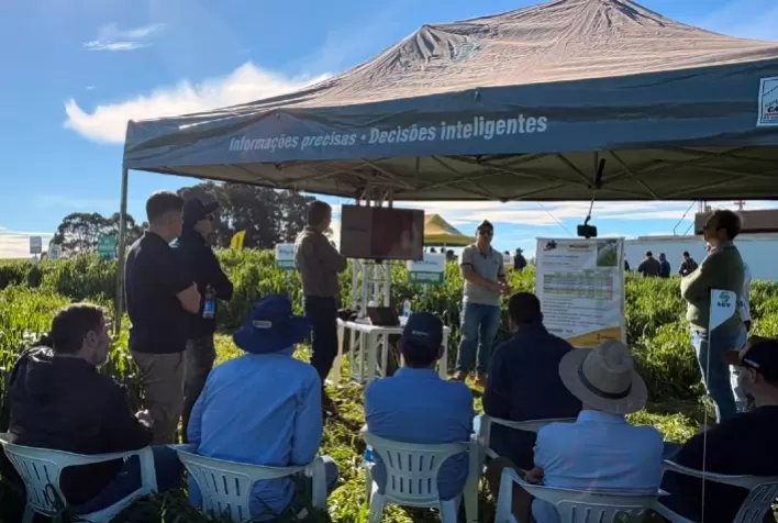 Agricultura regenerativa aumenta nitrogênio no solo e abre caminho para maior produtividade no Sul do Brasil