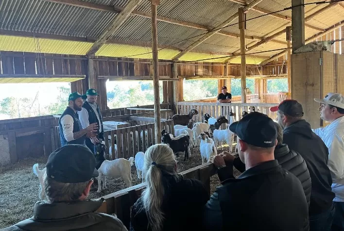 Manejo sanitário de caprinos fortalece produtividade e prevenção em oficina técnica da ATeG no Oeste de Santa Catarina