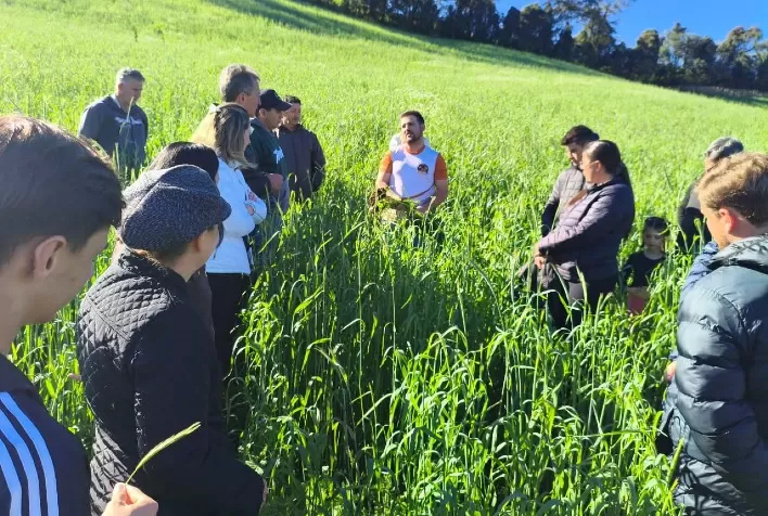Apicultura em Santa Catarina: Dia de Campo orienta produtores sobre pasto apícola e manejo para aumentar a produtividade