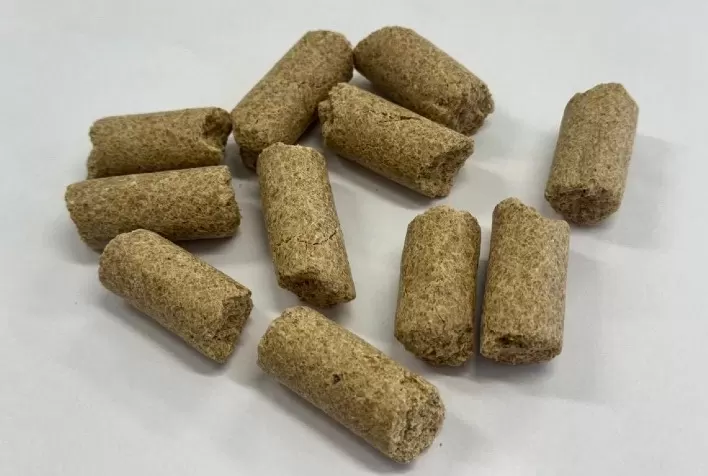 Aglutinante melhora qualidade dos pellets e aumenta eficiência na produção de ração animal