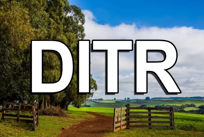 DITR 2026: prazo para declaração do Imposto Territorial Rural começa em 10 de agosto e termina em setembro
