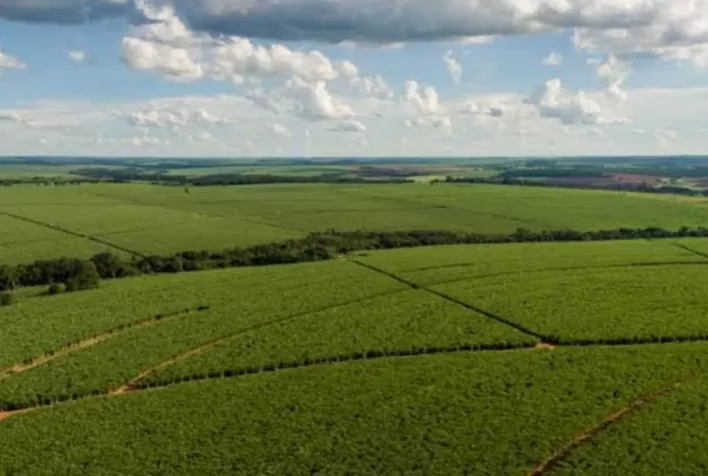 Tereos mapeia 162 mil hectares de solos e cria novo modelo de manejo para elevar a produtividade da cana-de-açúcar