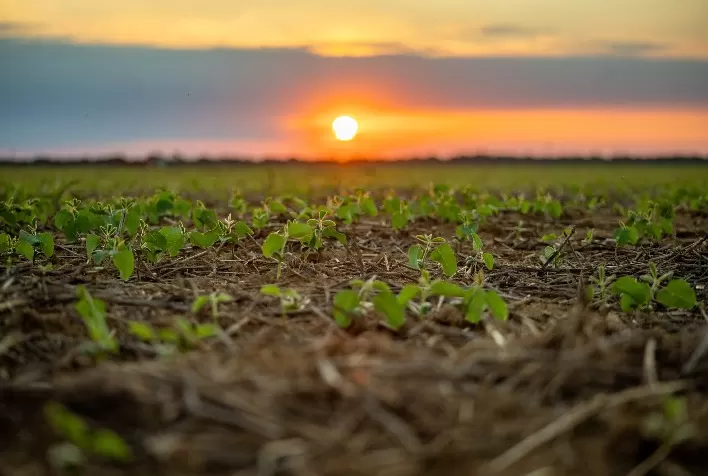 Possível Super El Niño coloca safra 2026/27 em alerta e exige planejamento antecipado dos produtores rurais