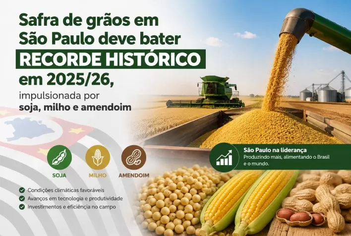 Safra de grãos em São Paulo deve bater recorde histórico em 2025/26, impulsionada por soja, milho e amendoim