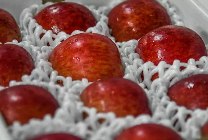 Exportação de maçã dispara 225% em 2026 e impulsiona recorde da fruticultura brasileira no mercado internacional