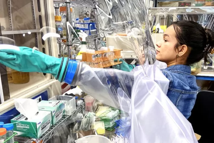 Tecnologia da Unicamp aumenta rendimento do etanol de segunda geração em até 30% e pode transformar produção de biocombustíveis