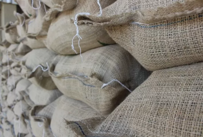 Exportações de café do Vietnã disparam 21% em 2026, mas receita recua com queda dos preços internacionais