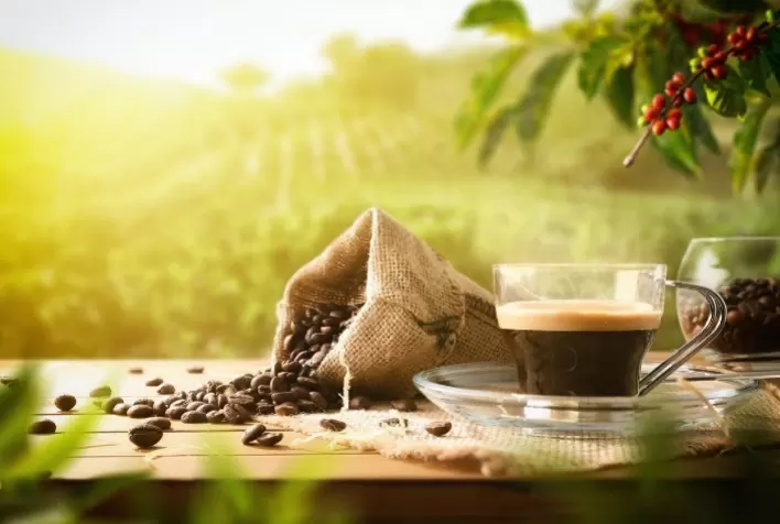 Café dispara mais de 1% em Nova York com recuperação técnica, risco de geadas e oferta restrita