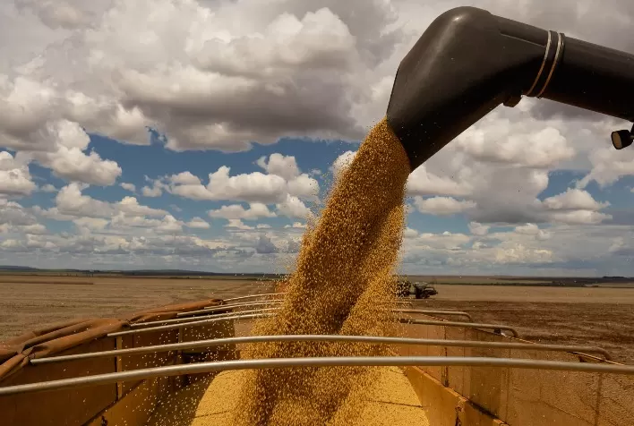 Soja recua em Chicago e mercado brasileiro segue travado com produtores cautelosos e logística pressionando preços