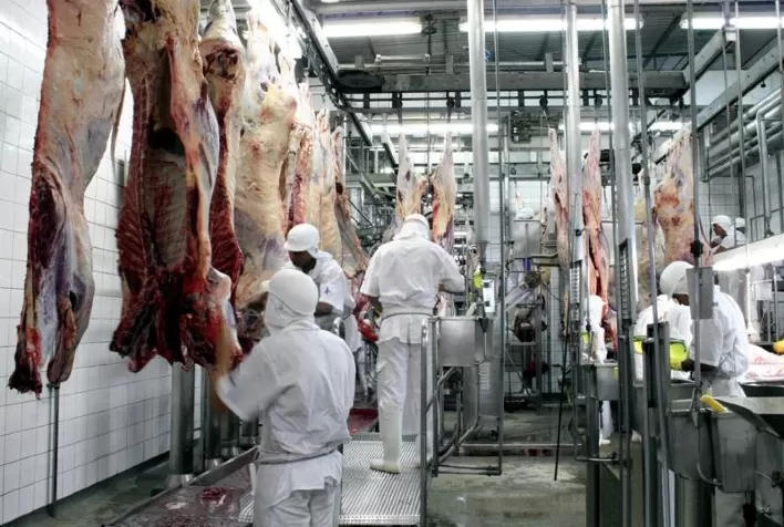 Abate de bovinos no Brasil deve cair para 40 milhões de cabeças em 2026, projeta Abiec