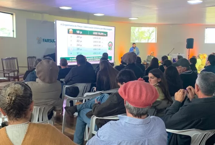 Certificação da lã gaúcha impulsiona renda no campo e alcança quase 600 mil quilos em quatro safras