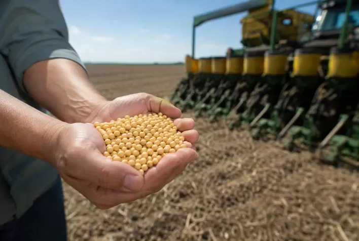 Sanidade das sementes: controle de doenças começa antes do plantio e ganha força com ciência e tecnologia no agro
