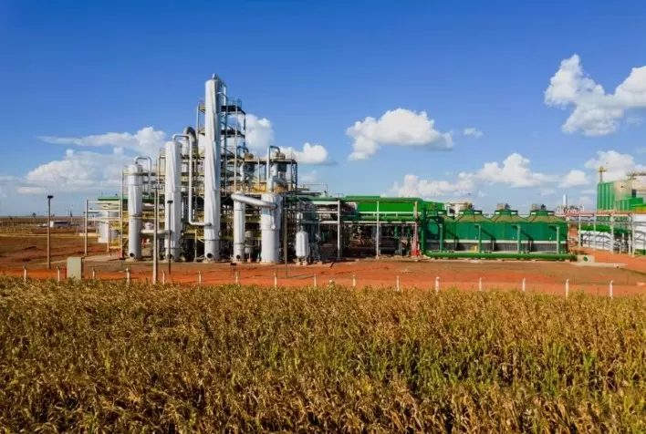 Biotecnologia no agro: Lallemand integra biocombustíveis, nutrição animal e microbiologia para impulsionar inovação no Brasil
