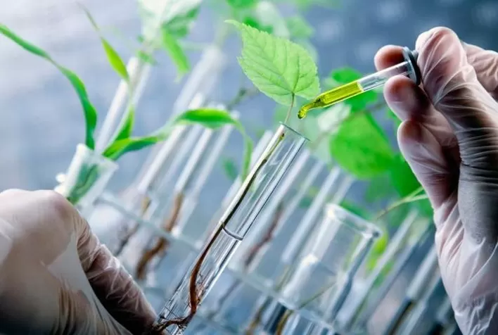 Bioinsumos no Brasil: biodiversidade e pesquisa podem colocar o país na liderança mundial do setor