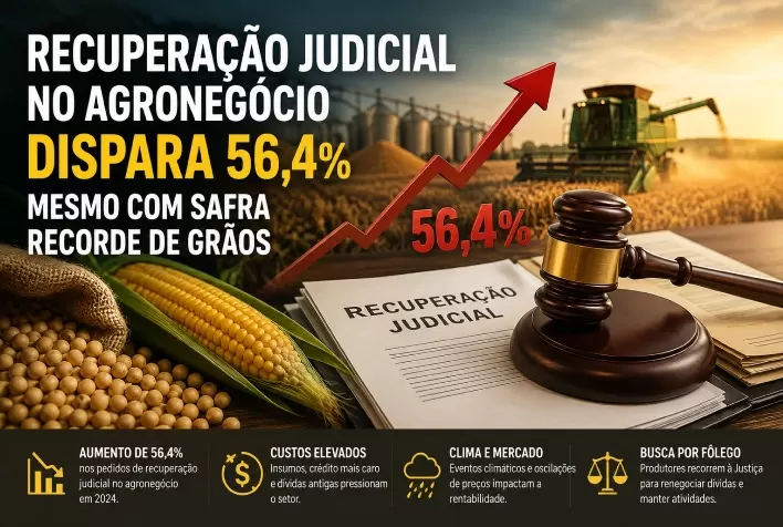 Recuperação judicial no agronegócio dispara 56,4% mesmo com safra recorde de grãos