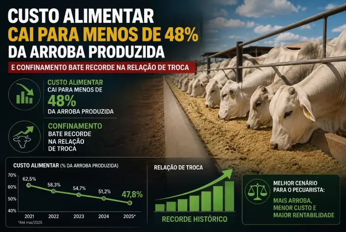 Custo alimentar cai para menos de 48% da arroba produzida e confinamento bate recorde na relação de troca