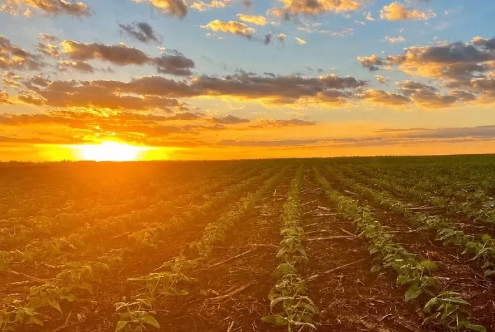 El Niño aumenta alerta no campo e reforça importância da correção do solo para a próxima safra