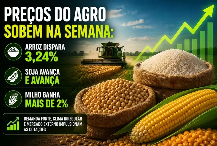 Preços do agro sobem na semana: arroz dispara 3,24%, soja avança e milho ganha mais de 2%