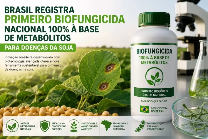Brasil registra primeiro biofungicida nacional 100% à base de metabólitos para doenças da soja