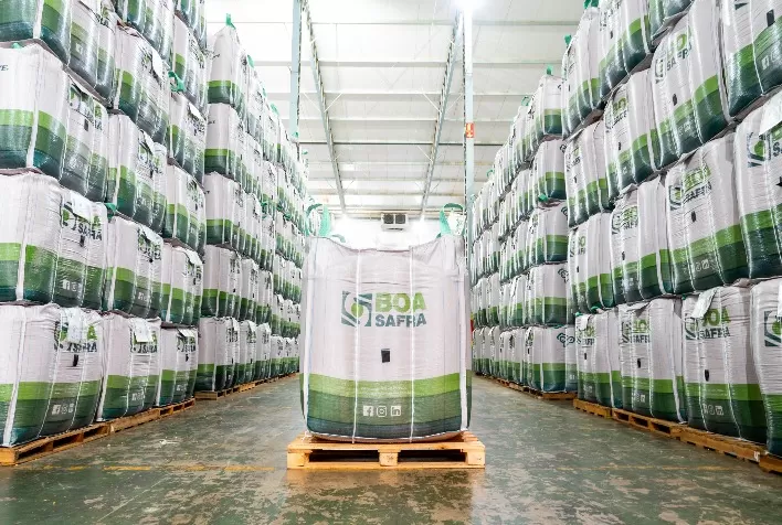 Boa Safra bate recorde de R$ 1,8 bilhão em pedidos de sementes de soja e acelera diversificação